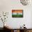 Flag Of India-Miro Novak-Framed Stretched Canvas displayed on a wall
