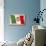 Flag of Italy-null-Art Print displayed on a wall