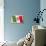 Flag of Italy-null-Premium Giclee Print displayed on a wall