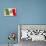 Flag of Italy-null-Premium Giclee Print displayed on a wall