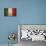 Flag Of Italy-hitdelight-Stretched Canvas displayed on a wall