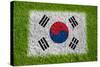 Flag of Korea on Grass-raphtong-Stretched Canvas