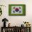 Flag of Korea on Grass-raphtong-Framed Stretched Canvas displayed on a wall