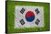 Flag of Korea on Grass-raphtong-Framed Stretched Canvas