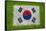 Flag of Korea on Grass-raphtong-Framed Stretched Canvas