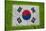 Flag of Korea on Grass-raphtong-Stretched Canvas