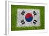 Flag of Korea on Grass-raphtong-Framed Art Print