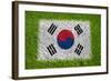 Flag of Korea on Grass-raphtong-Framed Art Print