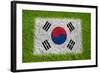 Flag of Korea on Grass-raphtong-Framed Art Print