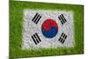 Flag of Korea on Grass-raphtong-Mounted Art Print