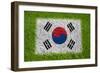 Flag of Korea on Grass-raphtong-Framed Premium Giclee Print