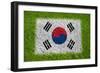 Flag of Korea on Grass-raphtong-Framed Premium Giclee Print
