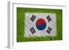 Flag of Korea on Grass-raphtong-Framed Premium Giclee Print