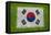 Flag of Korea on Grass-raphtong-Framed Stretched Canvas