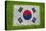 Flag of Korea on Grass-raphtong-Stretched Canvas