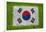 Flag of Korea on Grass-raphtong-Framed Art Print