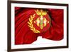 Flag of Lleida City, Spain.-Yuinai-Framed Art Print