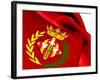 Flag of Lleida-Yuinai-Framed Art Print