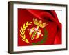 Flag of Lleida-Yuinai-Framed Art Print