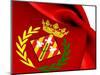 Flag of Lleida-Yuinai-Mounted Art Print