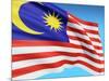 Flag Of Malaysia-bioraven-Mounted Art Print