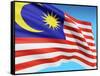 Flag Of Malaysia-bioraven-Framed Stretched Canvas