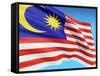 Flag Of Malaysia-bioraven-Framed Stretched Canvas