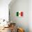 Flag of Mexico-null-Art Print displayed on a wall