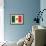 Flag of Mexico-null-Framed Art Print displayed on a wall