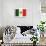 Flag of Mexico-null-Art Print displayed on a wall