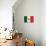 Flag of Mexico-null-Stretched Canvas displayed on a wall