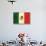 Flag of Mexico-null-Stretched Canvas displayed on a wall