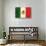 Flag of Mexico-null-Stretched Canvas displayed on a wall