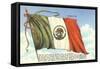 Flag of Mexico-null-Framed Stretched Canvas