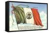 Flag of Mexico-null-Framed Stretched Canvas