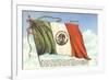 Flag of Mexico-null-Framed Premium Giclee Print