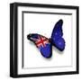 Flag Of New Zealand Butterfly, Isolated On White-suns_luck-Framed Art Print