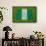 Flag of Nigeria on Grass-raphtong-Framed Stretched Canvas displayed on a wall