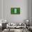 Flag of Nigeria on Grass-raphtong-Framed Stretched Canvas displayed on a wall