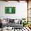 Flag of Nigeria on Grass-raphtong-Framed Stretched Canvas displayed on a wall