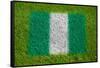 Flag of Nigeria on Grass-raphtong-Framed Stretched Canvas