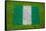 Flag of Nigeria on Grass-raphtong-Framed Stretched Canvas