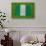 Flag of Nigeria on Grass-raphtong-Stretched Canvas displayed on a wall