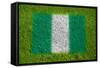 Flag of Nigeria on Grass-raphtong-Framed Stretched Canvas