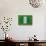 Flag of Nigeria on Grass-raphtong-Stretched Canvas displayed on a wall