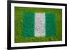 Flag of Nigeria on Grass-raphtong-Framed Art Print