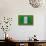 Flag of Nigeria on Grass-raphtong-Art Print displayed on a wall