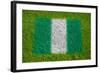 Flag of Nigeria on Grass-raphtong-Framed Art Print