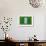 Flag of Nigeria on Grass-raphtong-Framed Premium Giclee Print displayed on a wall