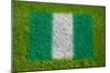 Flag of Nigeria on Grass-raphtong-Mounted Premium Giclee Print